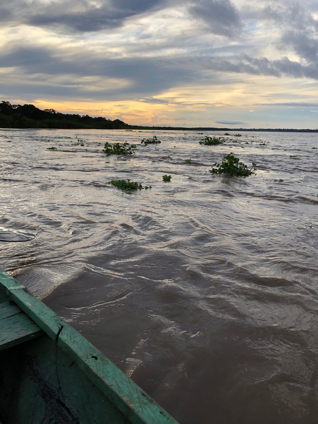The Heart of the Amazon